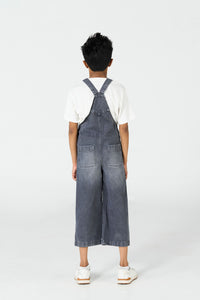 Grey Dungaree