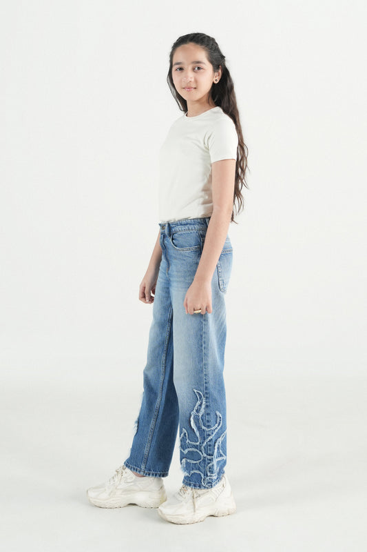 Straight Jeans with applique work
