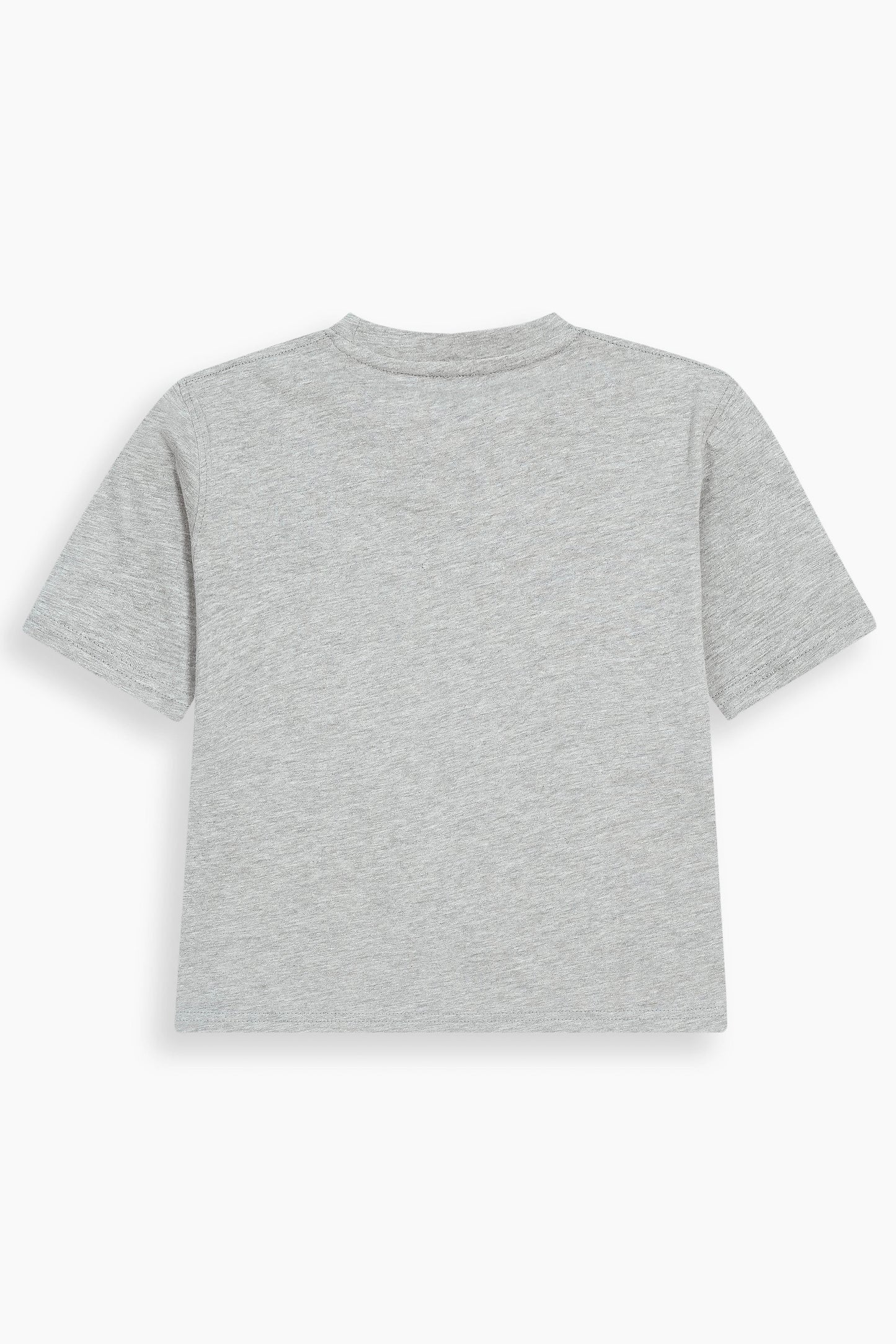 Cropped Short Sleeve T-Shirt Ash Grey